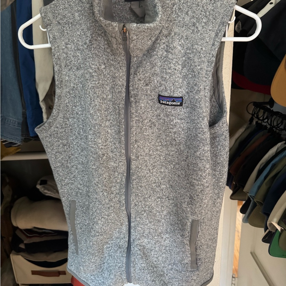 Patagonia Light Gray Fleece Vest